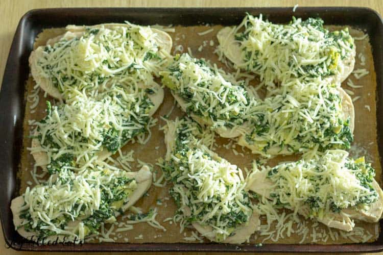 lazy spinach artichoke chicken breasts topped with shredded cheese on a sheet pan before baking
