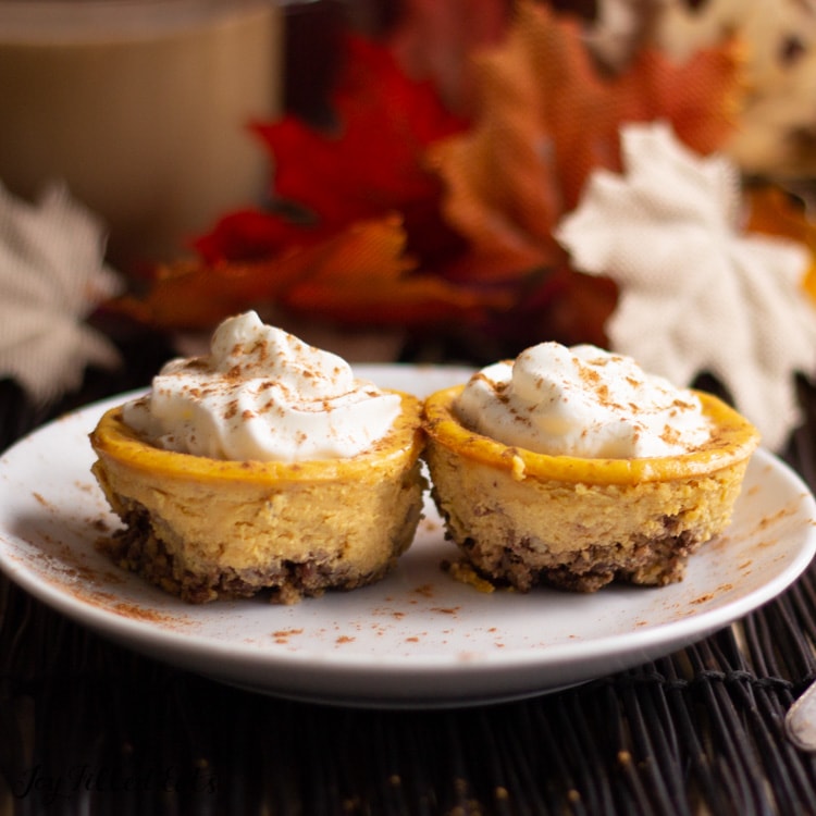two Pecan Crusted Pumpkin Breakfast Cheesecakes topped with whipped cream on a white plate