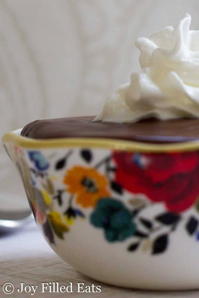 close up on bowl filled with dairy and sugar free chocolate pudding and topped with whipped cream
