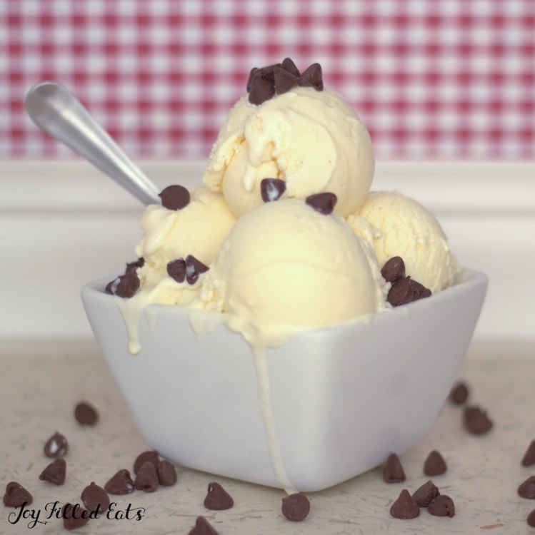 bowl of ice cream with chocolate chips