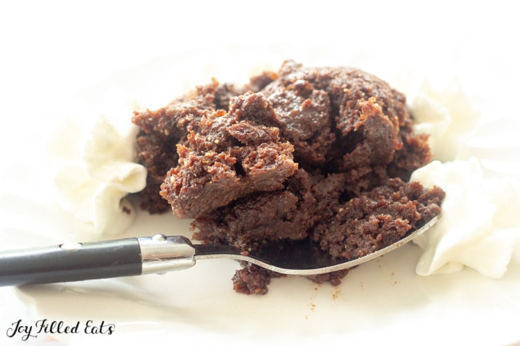 bite of keto mug brownie on a fork resting on a plate with keto mug brownie and whipped cream