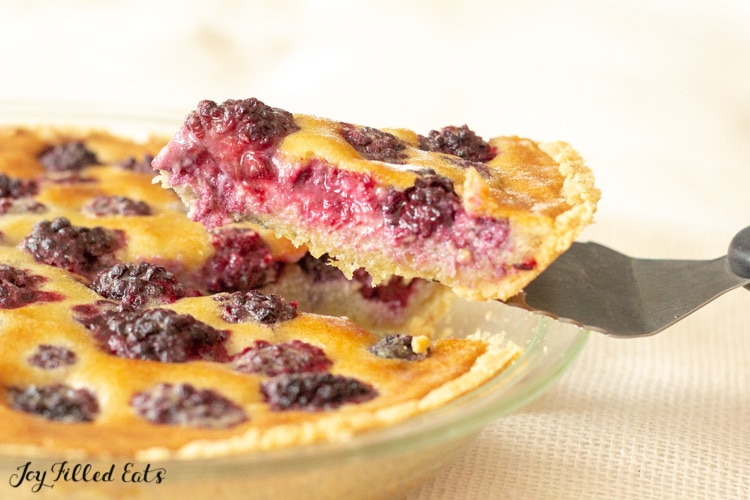 slice of blackberry custard pie being lifted from pie plate by a serving spatula