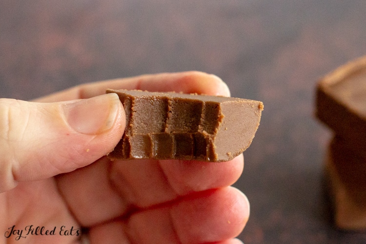 hand holding piece of keto chocolate fudge with bite missing