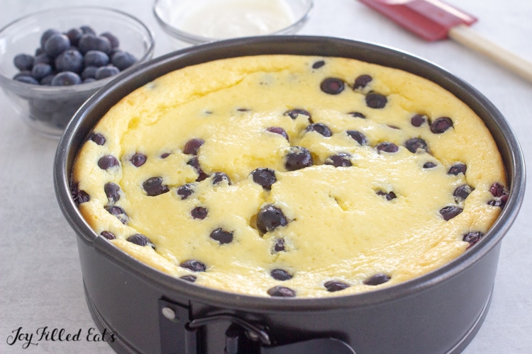 baked cheese cake in a springform pan