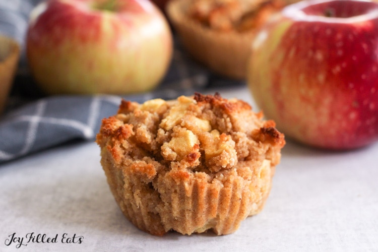 one of the low carb apple muffins