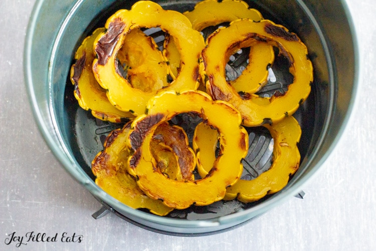 air fryer with squash rings
