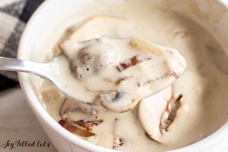 spoon of keto mushroom soup