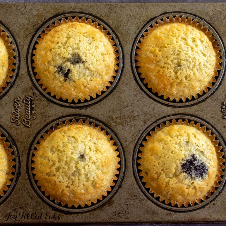 baked protein blueberry muffins in pan