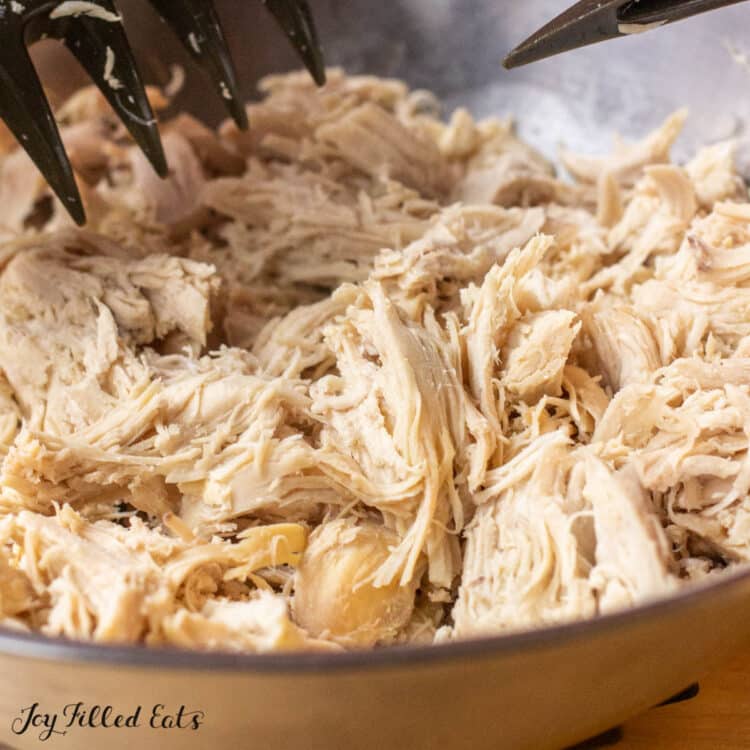 close up of shredded chicken breast in large bowl
