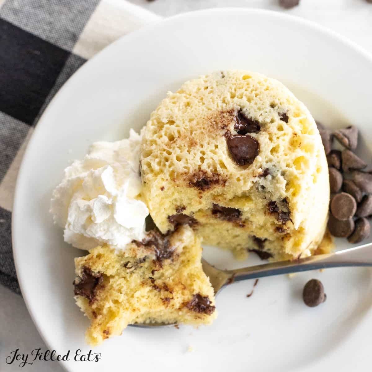 Keto Chocolate Chip Mug Cake Best Low Carb Recipe keto-chocolate-chip-mug-cake-best-low-carb-recipe