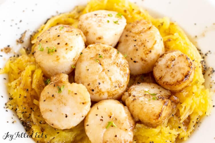 broiled scallops recipe served on a bed of spaghetti squash