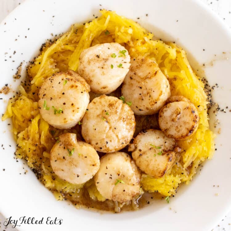 broiled scallops recipe served on a bed of spaghetti squash