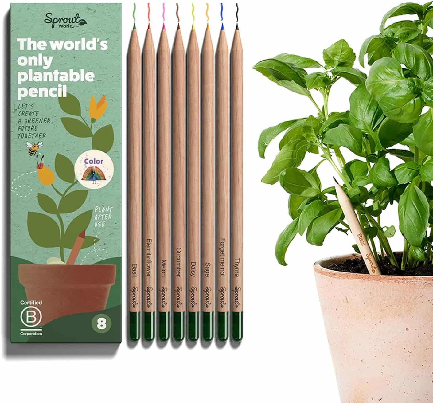 sprout plantable pencils