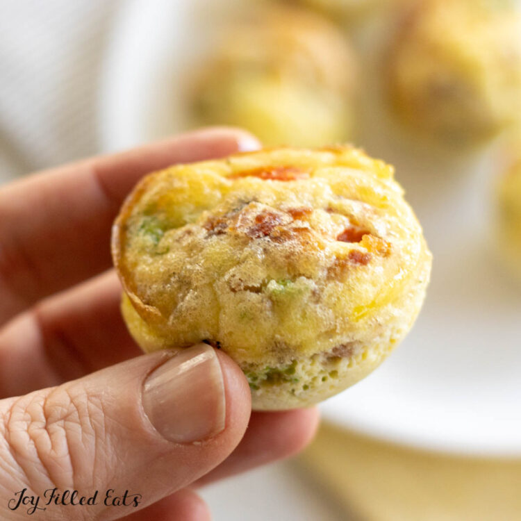 hand holding one of the dairy free egg bites 