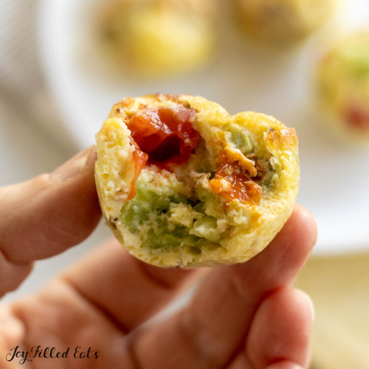 hand holding one of the dairy free egg bites missing a bite