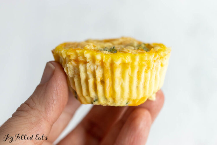hand holding up one of the cottage cheese egg bites