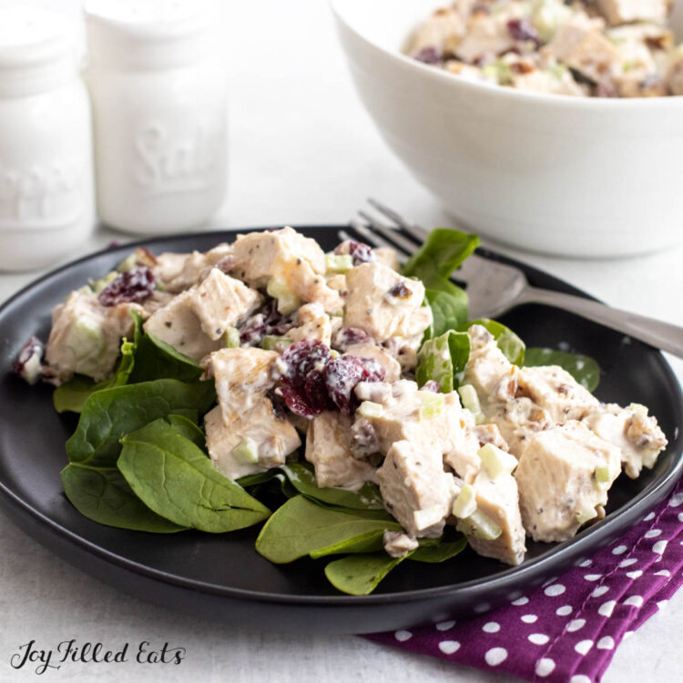 cranberry chicken salad on black plate