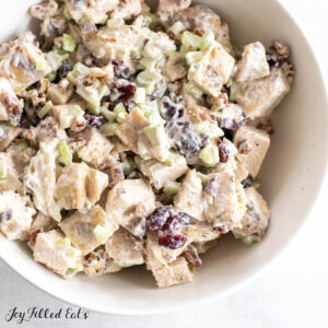 cranberry chicken salad close up from overhead